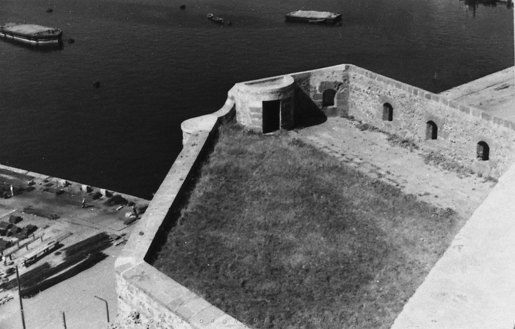 ORAN 02505.jpg